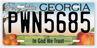 GA license plate PWN5685