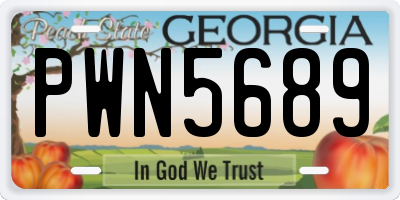 GA license plate PWN5689