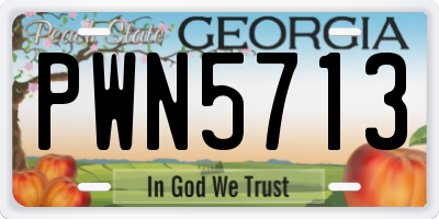 GA license plate PWN5713