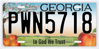 GA license plate PWN5718