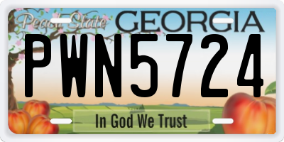GA license plate PWN5724