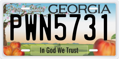 GA license plate PWN5731