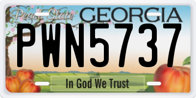 GA license plate PWN5737