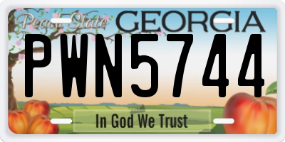 GA license plate PWN5744