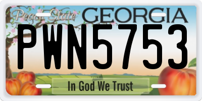 GA license plate PWN5753