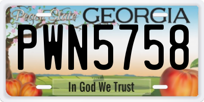 GA license plate PWN5758