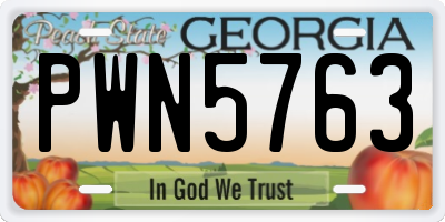 GA license plate PWN5763