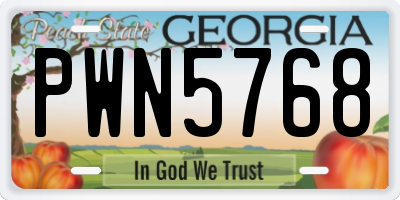GA license plate PWN5768