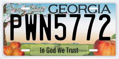GA license plate PWN5772