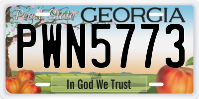 GA license plate PWN5773