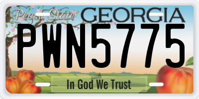 GA license plate PWN5775