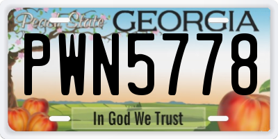 GA license plate PWN5778
