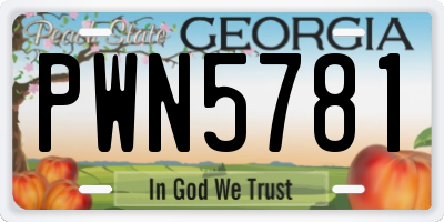 GA license plate PWN5781