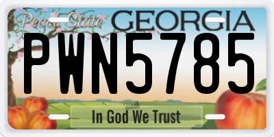 GA license plate PWN5785