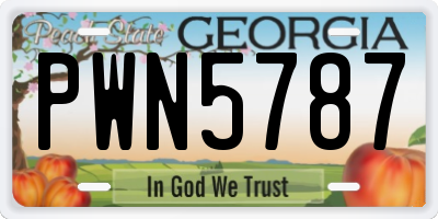 GA license plate PWN5787