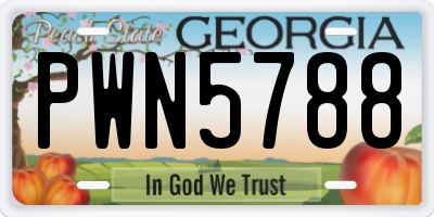 GA license plate PWN5788