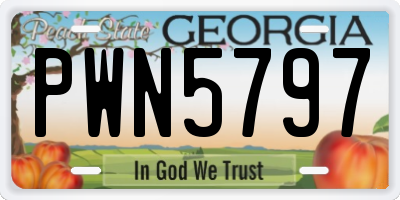 GA license plate PWN5797