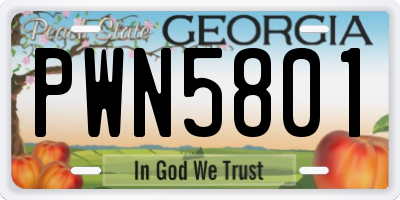GA license plate PWN5801