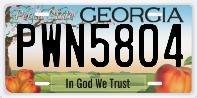 GA license plate PWN5804