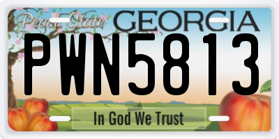 GA license plate PWN5813