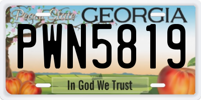 GA license plate PWN5819