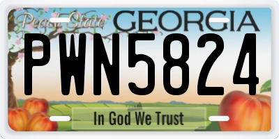 GA license plate PWN5824