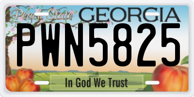 GA license plate PWN5825
