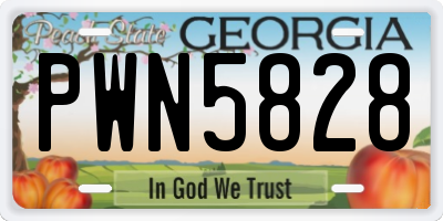 GA license plate PWN5828