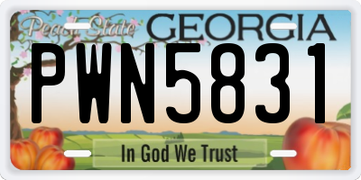 GA license plate PWN5831