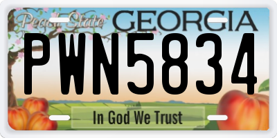 GA license plate PWN5834