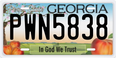 GA license plate PWN5838