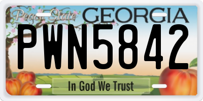 GA license plate PWN5842