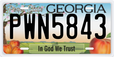 GA license plate PWN5843