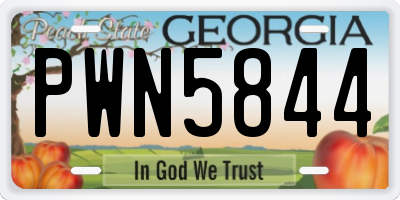 GA license plate PWN5844