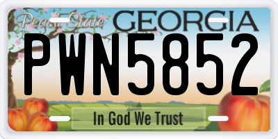 GA license plate PWN5852