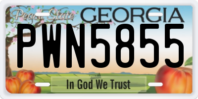GA license plate PWN5855