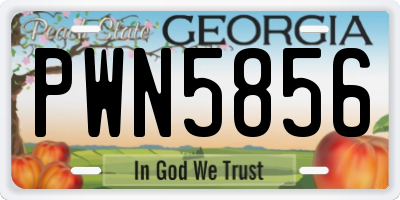 GA license plate PWN5856