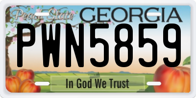 GA license plate PWN5859