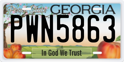 GA license plate PWN5863