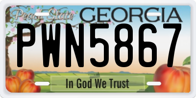GA license plate PWN5867