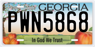 GA license plate PWN5868