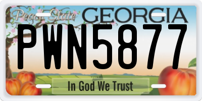 GA license plate PWN5877