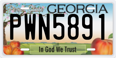 GA license plate PWN5891