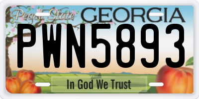 GA license plate PWN5893