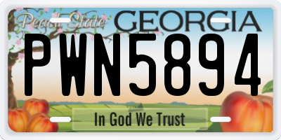 GA license plate PWN5894