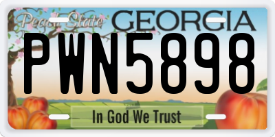 GA license plate PWN5898