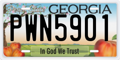 GA license plate PWN5901