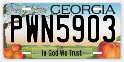 GA license plate PWN5903
