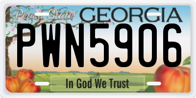 GA license plate PWN5906