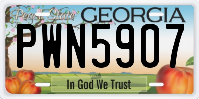 GA license plate PWN5907